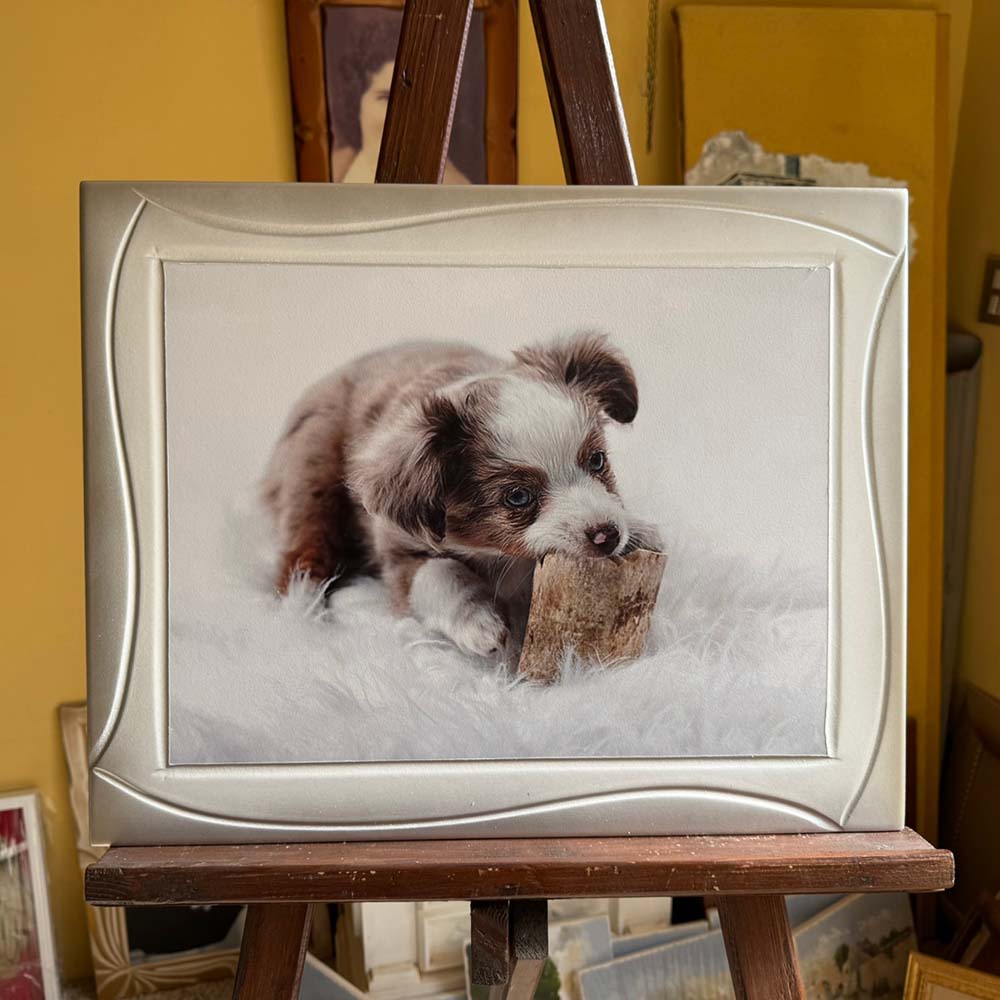 Cornice artigianale con foto, eseguita a mano su legno mdf di colore bianca sfumata argento